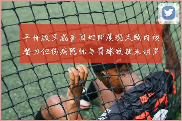 平价版罗威奎因坦斯展现天赋内线潜力但伤病隐忧与罚球致敬米切罗